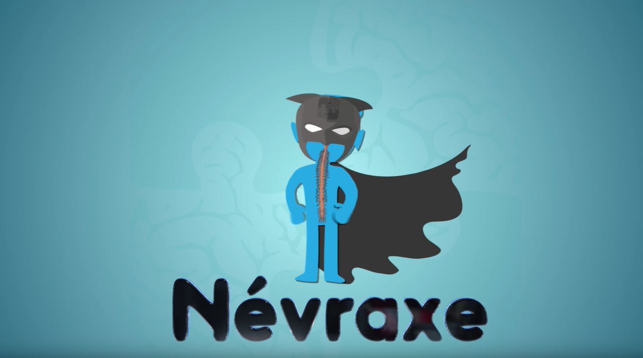 Neurolexique #2 – Le Système Nerveux Central