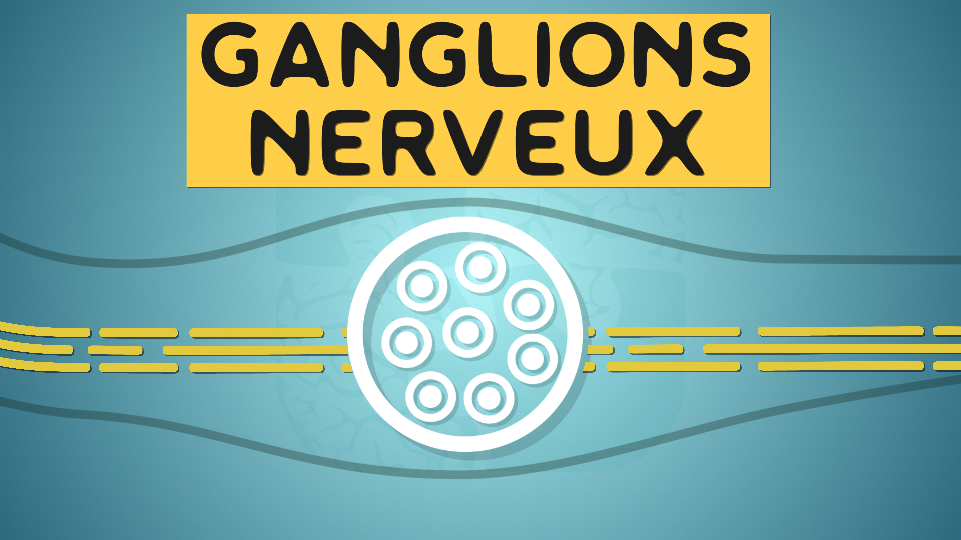 ganglion spinal rachidien