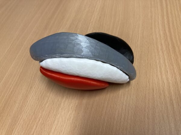 Noyaux Gris Centraux - 3D – Image 4