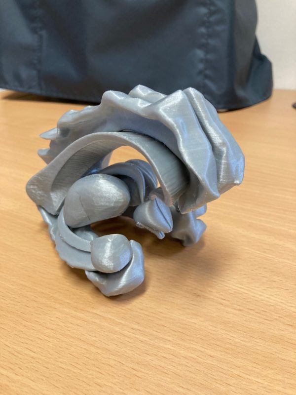 Région Limbique - 3D – Image 2