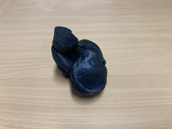 Tronc cérébral avec Cervelet - 3D – Image 6